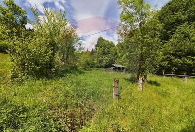 Comision 0%! Proprietate in natura, priveliste superba, S... - 7