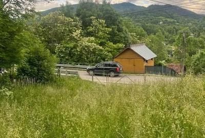 TEREN DE VANZARE VALEA DOFTANEI - 5