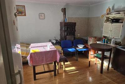 Casă cu 3 camere cu Teren 2500 Mp în Pietroasa - 7