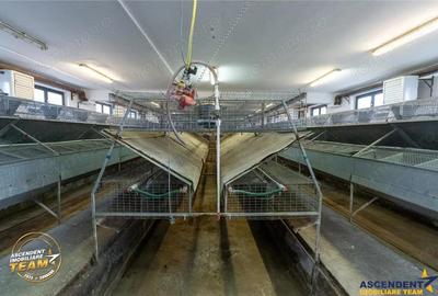 FILM! Ferma de iepuri,Malnas,Covasna: domeniu industrial comercial,asset UE - 18