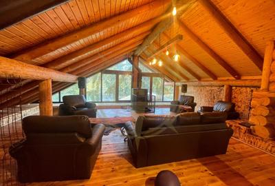 Casă cu 9 camere cu Piscina în Grădiștea - 9