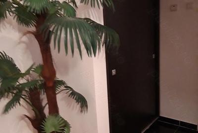 Apartament cu 2 camere nedecomandat în Dorobanți - 5