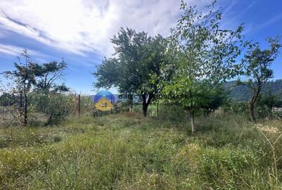 Teren + Casa de Vanzare 1170 mp Dumbrava Ro?ie, N - 4