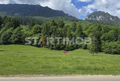 Teren intravilan Zarnesti Plaiul Foii - 10