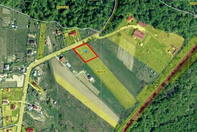 PROPRIETATE DE POVESTE, INCONJURAT DE PADURE CU DESCHIDERE LA DRUMUL JUDETEAN, 1 - 4