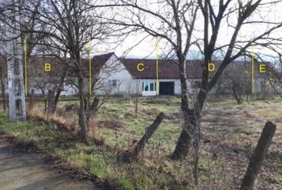 Spatiu depozitare si productie Creaca - 2