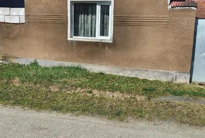 Casă cu 5 camere în Teiu - 2