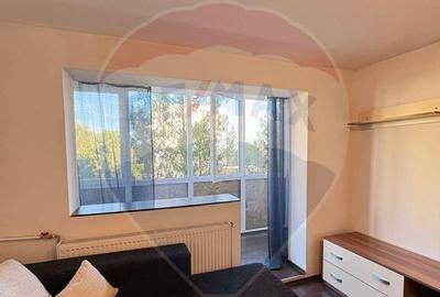 Apartament cu 1 camere de inchiriat in zona Vlaicu - 3