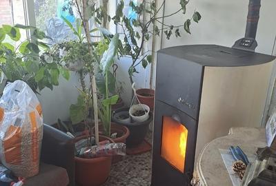 Buturugeni Posta - 11