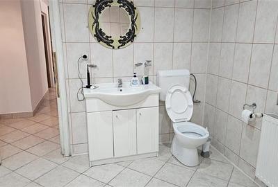 Pet friendly! Casa singura in curte, cu gradina, Sanpetru, Brasov Pet friendly! Casa singura in curte, cu gradina, Sanpetru, Brasov - 5