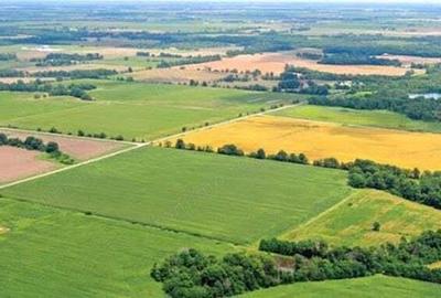 Teren agricol Sanandrei, Carani, Hodoni intre 20-30 Ha compact Teren agricol Sanandrei, Carani, Hodoni intre 20-30 Ha compact - 1