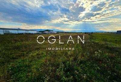 Teren Selimbar-DN1, comercial/industrial, COMISION 0% - 15