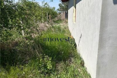 Casă cu 4 camere cu Teren 800 Mp în Lazuri - 10