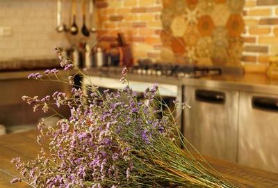 DE VANZARE Pensiune | 12 camere | Bisoca / Buzau - 2