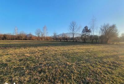 Teren de 13111 mp, în Bran - 3