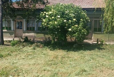 Teren în Băneasa - 6