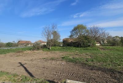 Teren de 8780 mp, în Vărădia de Mureș - 4