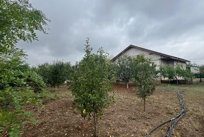 Casa+teren  Vadu Pașii Buzau - 15