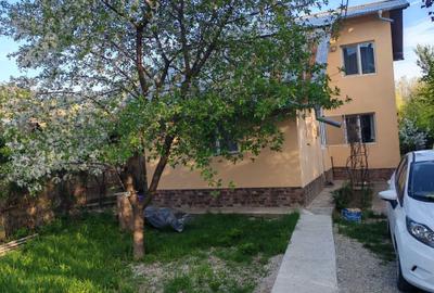 Casă cu 3 camere în Răzvad - 8