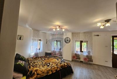 Casă cu 7 camere cu Teren 1134 Mp în Tarcău - 17