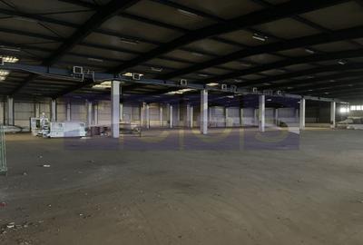 Spațiu industrial, de 19,300 mp, în Odăi - 1
