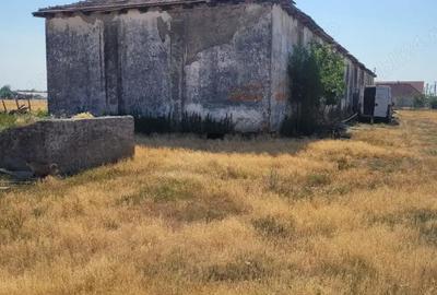 Teren în Zărand - 2