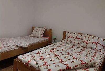 Vanzare vila Costinesti - 6