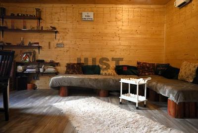 Problema e orașul. Soluția: un pârâu în curtea ta. Casa/Cabana Valea Fericirii - 4