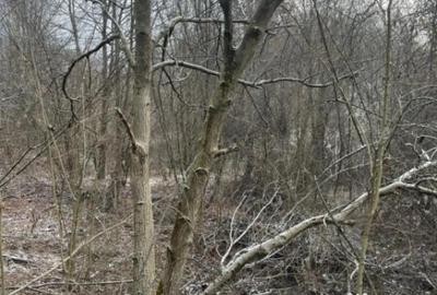 Teren de 866 mp, în Tăuții-Măgherăuș