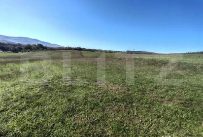 Teren de 2900 mp, în Central - 6