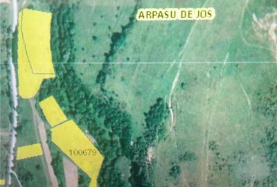 Teren de 18800 mp, în Arpașu de Sus - 4