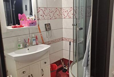 Garsonieră în Craiovița Nouă - 6