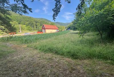 Spațiu comercial, în Leșnic - 3