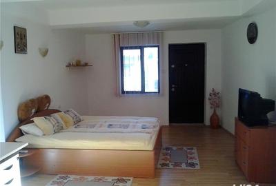 Casă cu 2 camere în Banat - 1