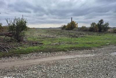 Spațiu comercial, în Balotești - 10