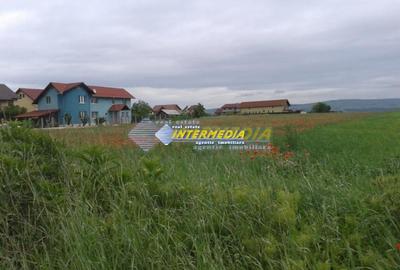 Teren Construcții intravilan de 8600 mp, în Cetate - 1
