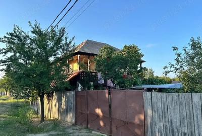 Vand casa batranesca + 1000mp teren intravilan, com. Dragutesti, sat Urechesti - 10