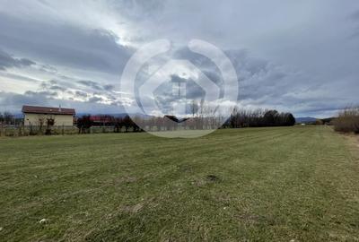 Teren Construcții intravilan de 4400 mp, în Arhitecților - Calea Cisnădiei - 1