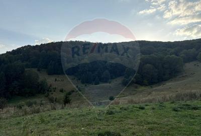 Teren agricol intravilan de 2050 mp, în Poiana Brașov - 4