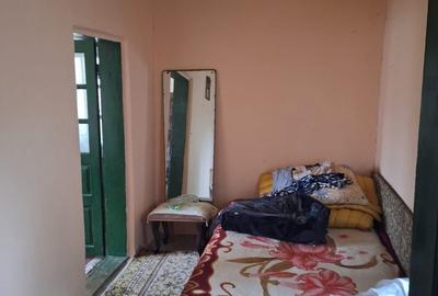 Vand casa teren 3000mp satul Gresia, Rosiorii de Vede, Teleorman - 5