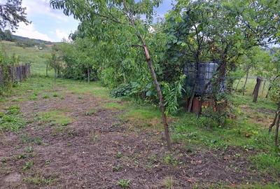 Casă cu 3 camere în Luncșoara - 1