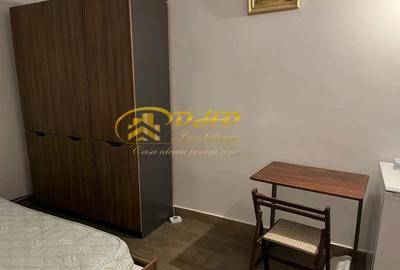 APARTAMENT CU 1 CAMERA CUZA VODA - 5