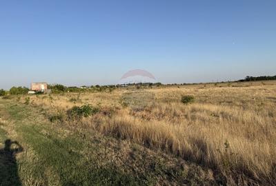 Teren zona Peugeot/Magnolia - 2