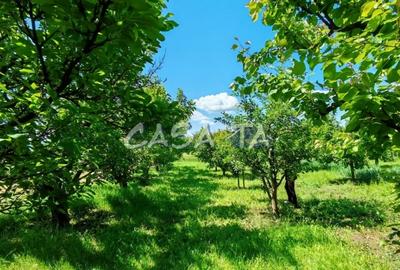 Casă individuală cu 4 camere cu Teren 4037 Mp în Samarinești - 14