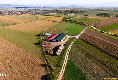 Teren de 18000 mp, în Feldioara - 11