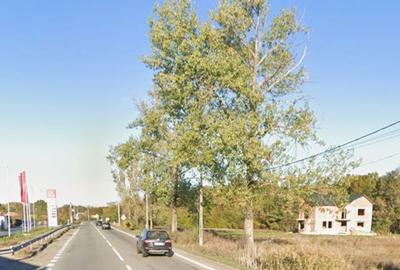 Teren de 5500 mp, în Cotmeana - 1