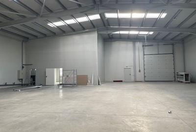 Spatiu depozitare si productie Soseaua de centrua Chitila - 7