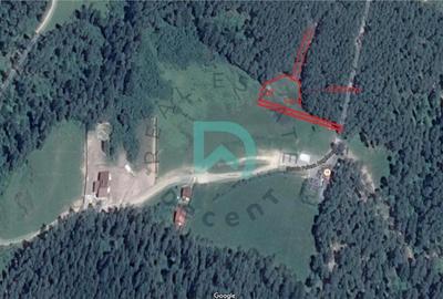 Teren Construcții intravilan de 1500 mp, în Poiana Angelescu - 17