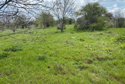 Spațiu comercial, în Central - 5