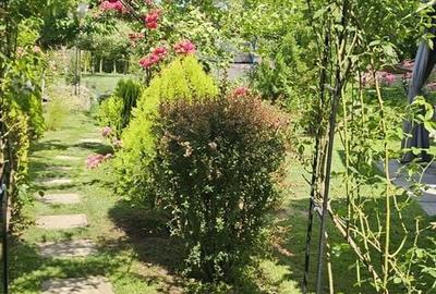 Casă cu 3 camere în Central - 12